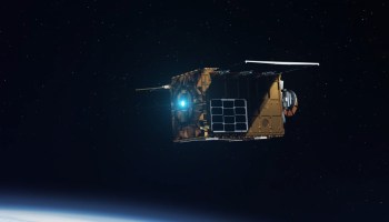 Illustration: Otter Pup in orbit